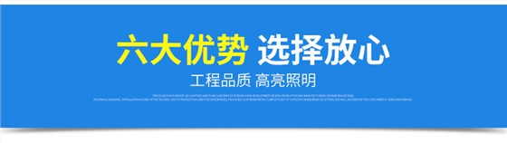 景觀公園庭院LED投光燈